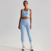 Seamless Backless Yoga Set – 2-Piece Bra & Leggings